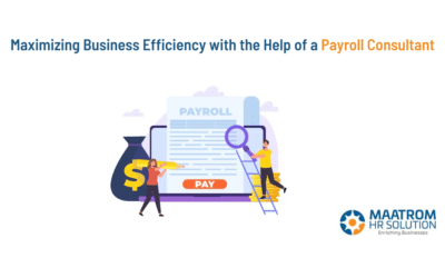 Maximizing Business Efficiency with the Help of a Payroll Consultant
